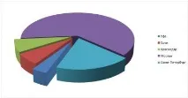 WiMax в Україна україна