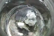 ростуть