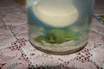 воду