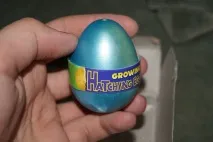 тваринами