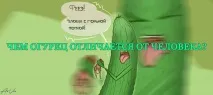 Я НІКОГО НЕ ЇМ - Вегетаріанські рецепти вегетаріанські