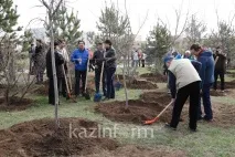 дървета храсти депутатите