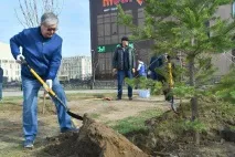 депутатите дървета храсти