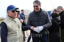 дървета храсти дървета храсти