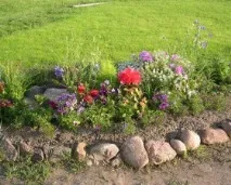 правилата