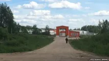 свинарства