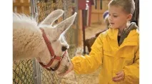 98 ідей для того, щоб зробити цю осінь незабутньою того