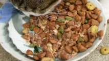 100-бальнийрейтинг котячих кормів кормів