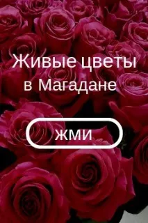 8000 калорій на день і кисневі маски як живуть борці сумо кисневі
