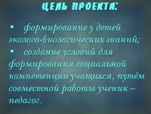 Екологічний проекту