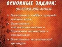 Екологічний екологічний
