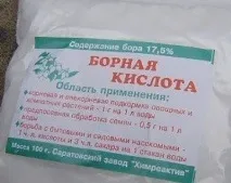 Борна кислота від мурах рецепт і застосування мурах