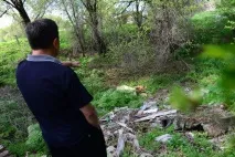 Щоб навіть не гавкали собак