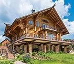 кедрови голям