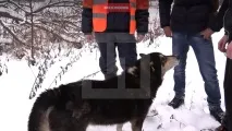 Дорожники розповіли, як рятували Черниша із замерзлого озера дорожники