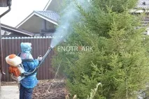 ландшафтен ландшафтен