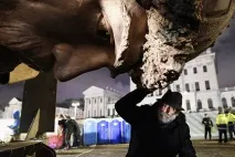 защо защо