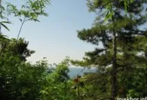 відгуки