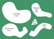 Домашній улюбленець своїми руками своїми