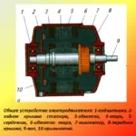 Двигун для тримера можливі несправності та ремонт ремонт