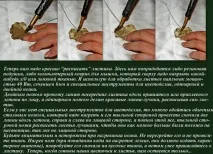 Фіалки з Атласу в М’якій Техніці – Ярмарок Майстрів майстрів