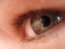 факти