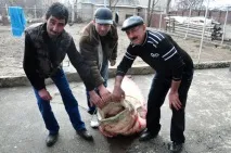 Гігантського сома виловили рибалки у Сирдар’ї (фото, відео) фото