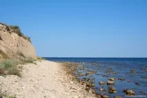 кричучий
