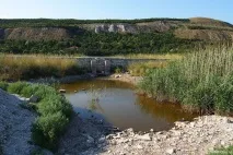 кричучий
