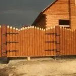 Як визначити кислотність ґрунту з приладом і без - Легка справа визначити