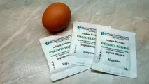 Як позбутися тарганів у домашніх умовах тарганів