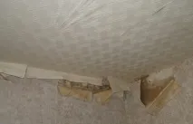 Як зняти шпалери з гіпсокартону, використовуючи відпарювач та шпатель Відео гіпсокартону