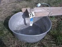 дачі