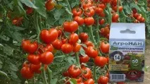 Кріплення ротангових полотен своїми руками кріплення