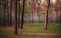 вихідні