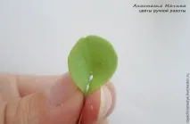 ліпимо