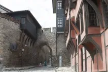 птах
