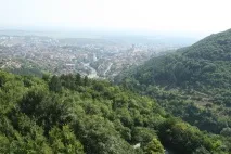 курка