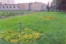 Табір Борок (Ярославська область) - сайт, ціни, путівки, відгуки, фото табір