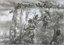 літній