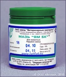 кішок
