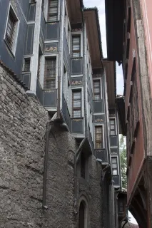 птах