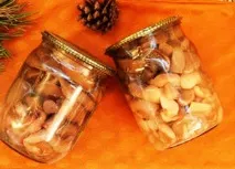 Маслюки мариновані на зиму рецепти в домашніх умовах, Грибний сайт мариновані