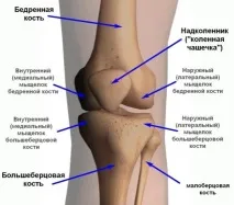 Мала гомілкова кістка анатомія та функції функції