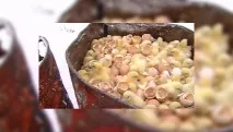 Мільйони курчат викидають на мороз через борги викидають
