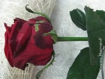 Майстер клас троянда - Бордо - I частина, Країна Майстрів частина