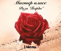 Майстер клас троянда - Бордо - I частина, Країна Майстрів майстер
