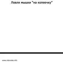 Мишки та нешкідлива мишоловка - Все найцікавіше! нешкідлива