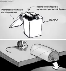 Мишки та нешкідлива мишоловка - Все найцікавіше! нешкідлива