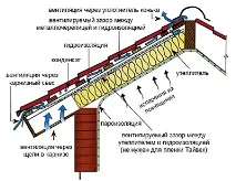 Монтаж ковзанів та їх основні види види